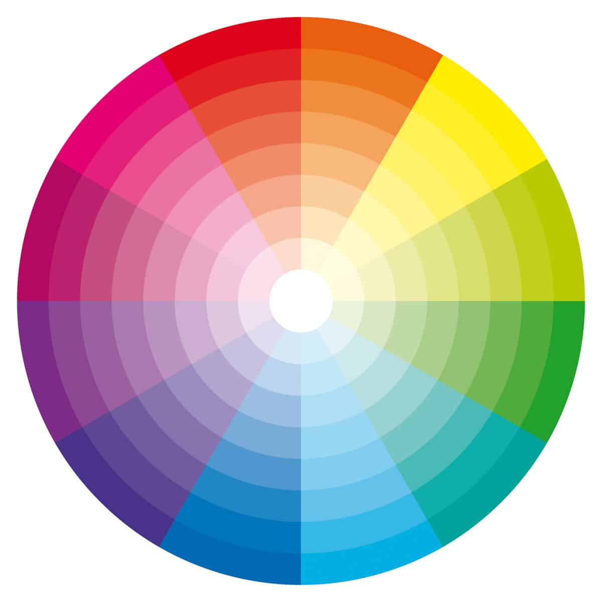 A color wheel showing eachy primary color and secondary color's shades.