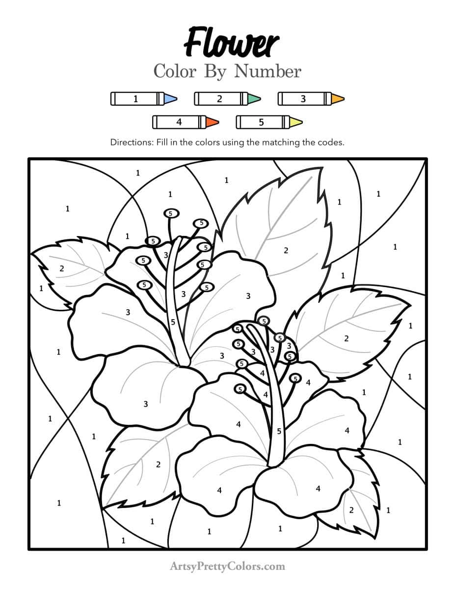 Tropical-like flowers color by number coloring page .