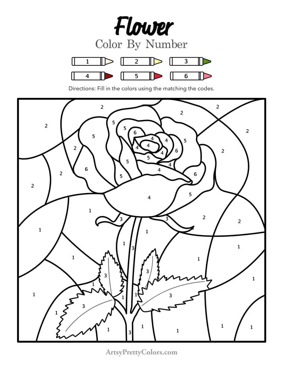 A rose graphic with number codes divided into section matching a color code at the top of the pdf.