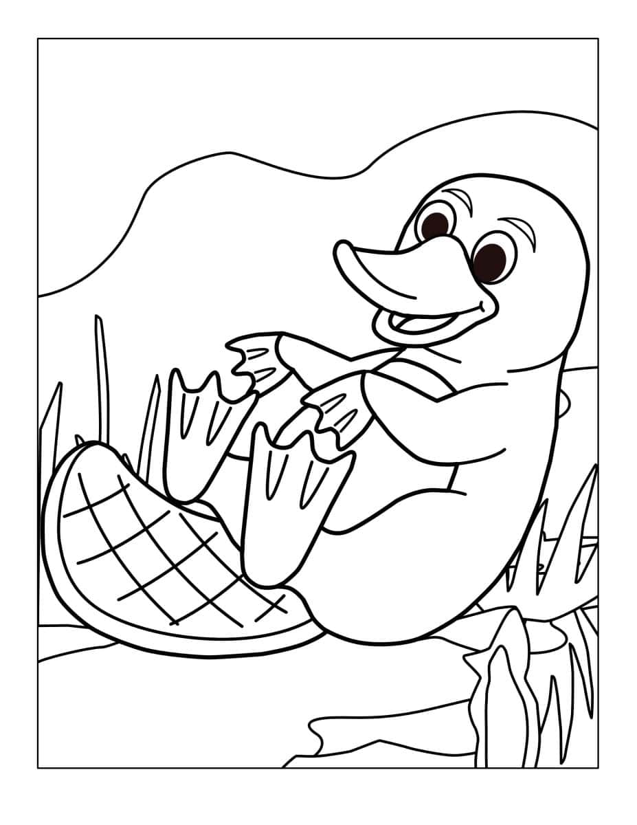 Baby platypus holding his feet sitting by water coloring page.