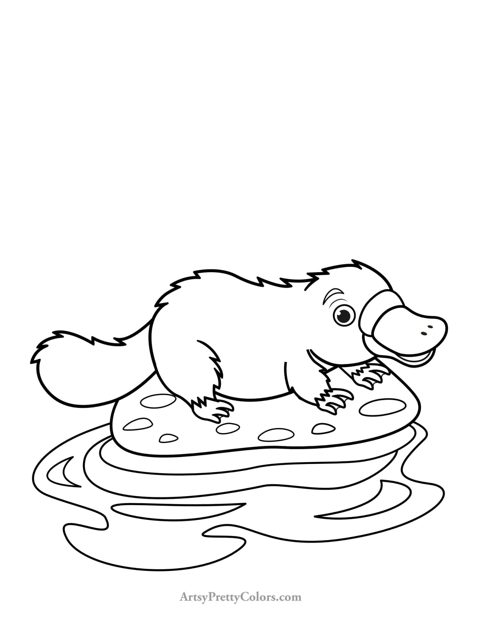 10 Free Baby Platypus Coloring Pages - Artsy Pretty Colors